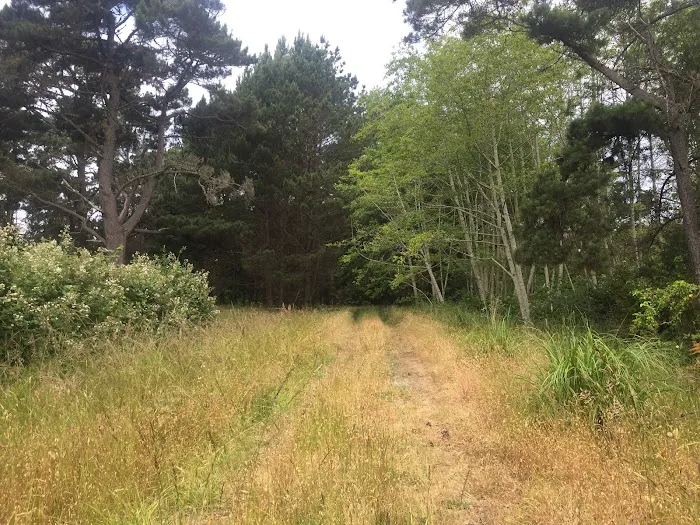 Cleone Grocery Campground Picture 3