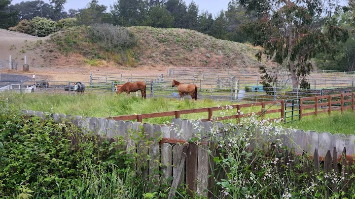 Cleone Grocery Campground Picture 4