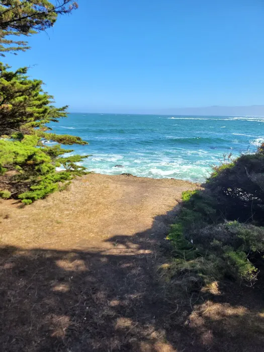 Westpine Campground | MacKerricher Picture 2