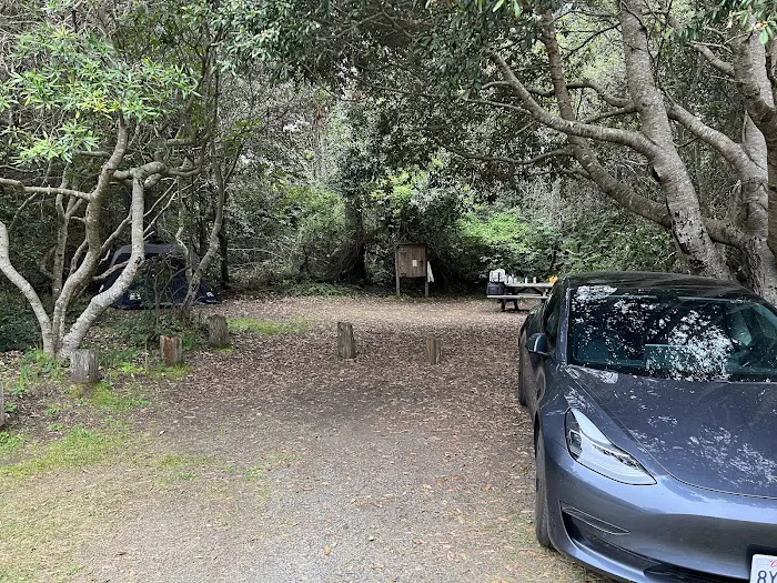 Westpine Campground | MacKerricher Picture 6