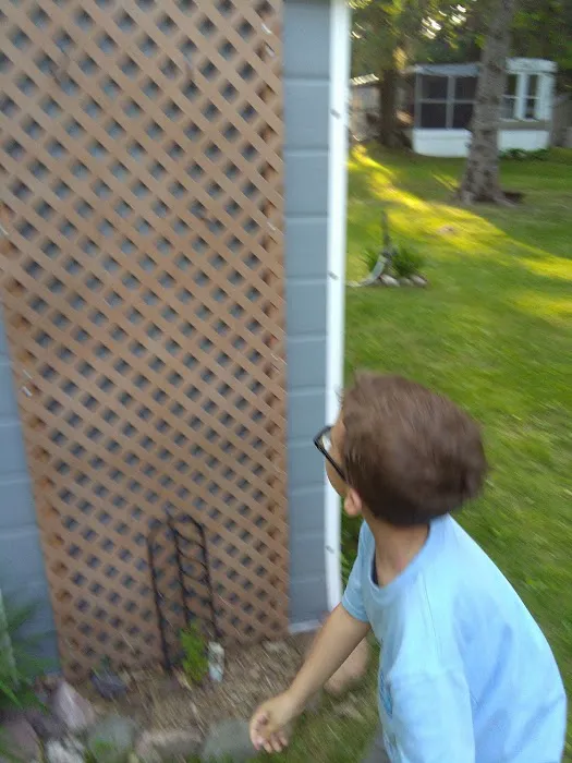 Sissebagamah RV Resort on Bay Lake Picture 6