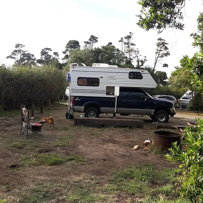 Surfwood Campground MacKerricher State Park Picture 4