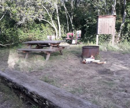 Surfwood Campground MacKerricher State Park