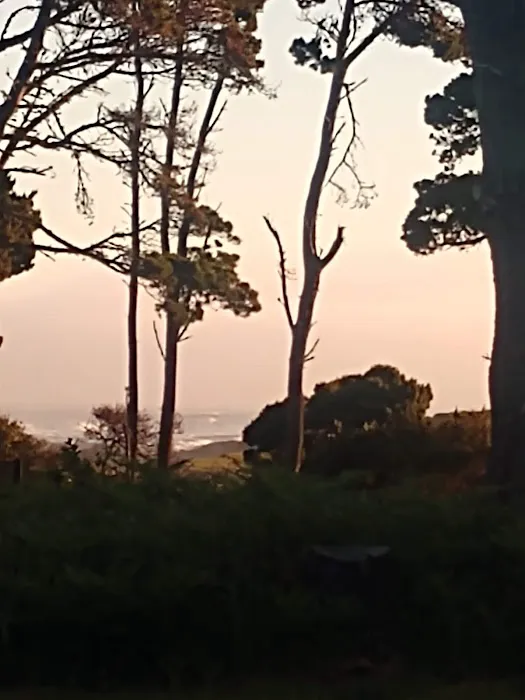 Surfwood Campground MacKerricher State Park Picture 6