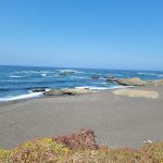 Pinewood Campground | MacKerricher State Park