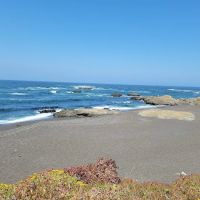 Pinewood Campground | MacKerricher State Park ico