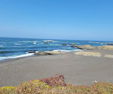 Pinewood Campground | MacKerricher State Park