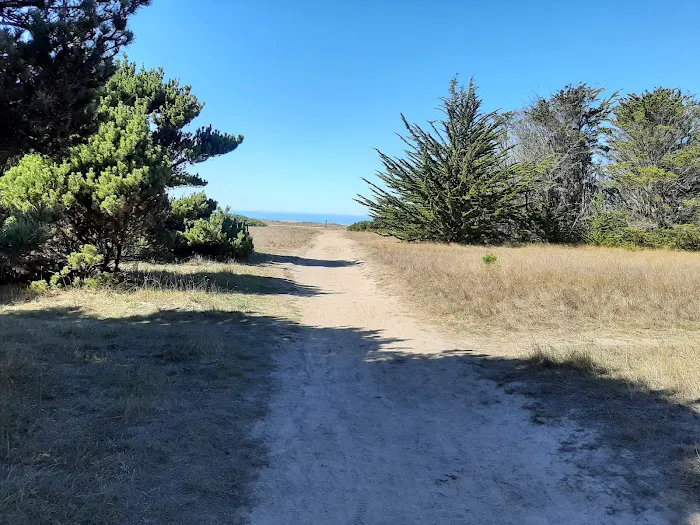 Pinewood Campground | MacKerricher State Park Picture 6
