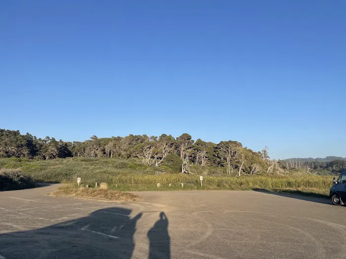 Pinewood Campground | MacKerricher State Park Picture 9