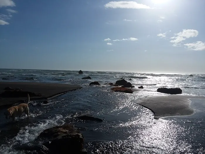 Westport Beach RV Park and Campground Picture 7