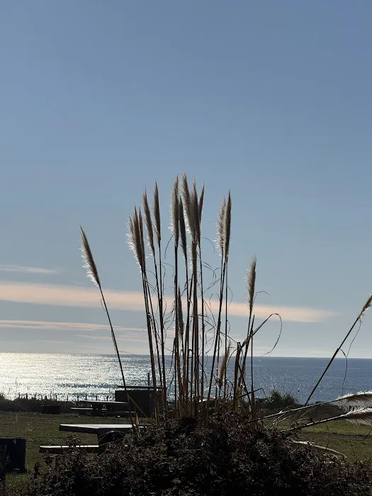 Abalone Point Campground Picture 7