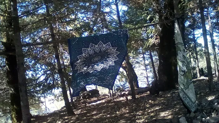 The Ridgetop Camp Picture 4