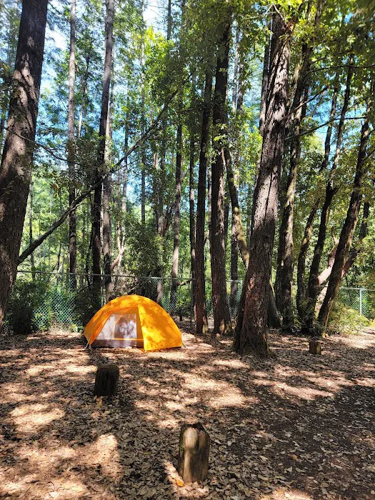Rock Creek Campground Picture 1