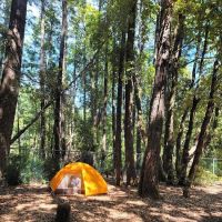 Rock Creek Campground ico
