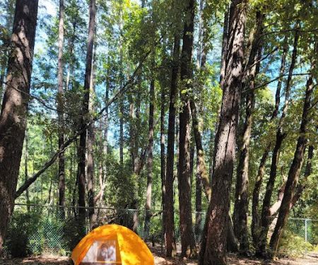 Rock Creek Campground