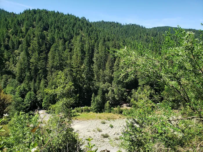 Rock Creek Campground Picture 7