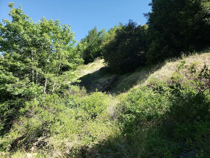Rock Creek Campground Picture 8