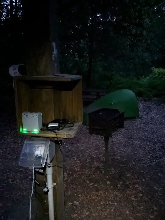 Hickey Campground Picture 5