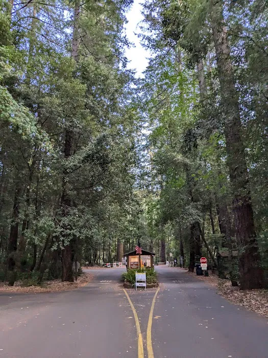 Hickey Campground Picture 6