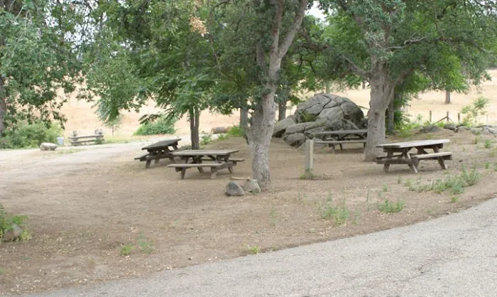 Millerton Large Group Campground Picture 1
