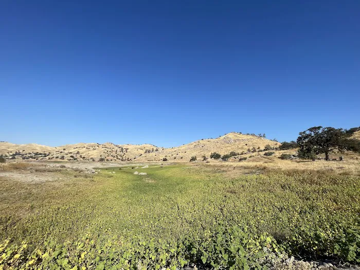 Rocky Point Campground Picture 5