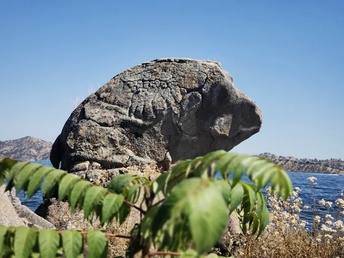 Rocky Point Campground Picture 8