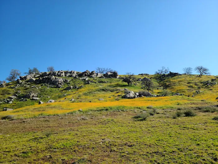 Meadow Campground Picture 10