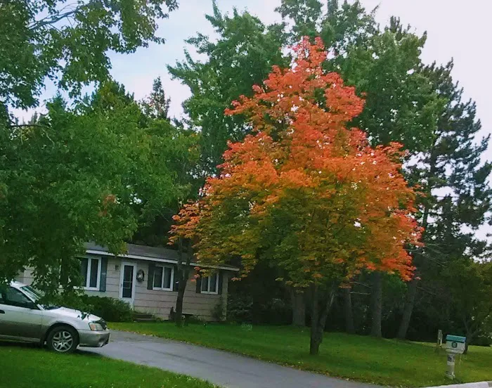 Stoneybrook South Picture 3