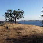 Valley Oak Campground