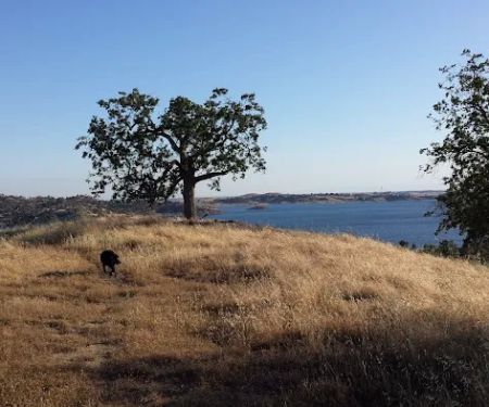 Valley Oak Campground