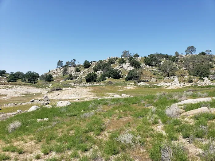 Valley Oak Campground Picture 3