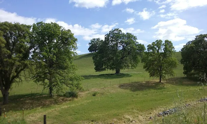 PSEA Camp Wishon Picture 5