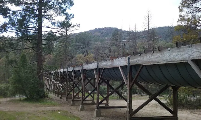 PSEA Camp Wishon Picture 1