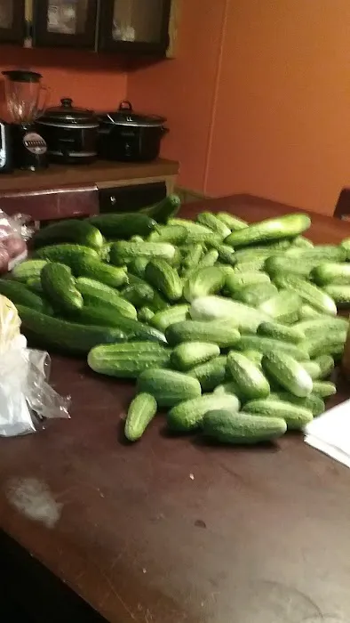 Melrose Mobile Home Park Picture 3