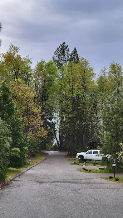 Lupine Campground Picture 1