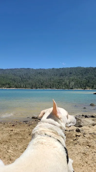 Spring Cove Campground Picture 5