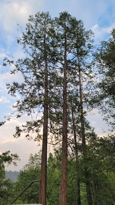 Spring Cove Campground Picture 6