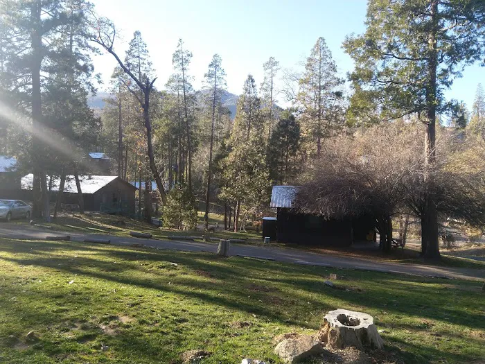 PSEA Camp Wishon Picture 4