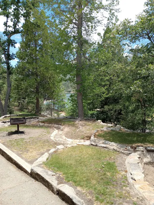 PSEA Camp Wishon Picture 8