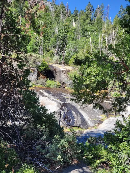 Chilkoot Campground Picture 4