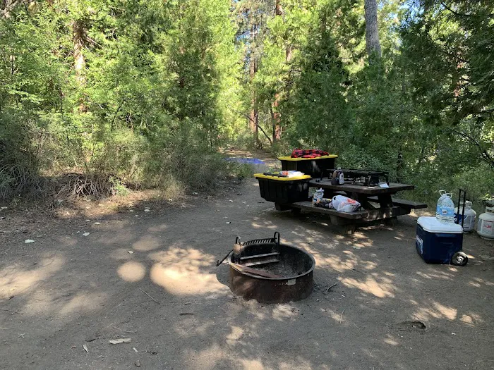 Chilkoot Campground Picture 1