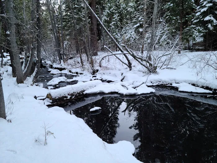 Chilkoot Campground Picture 9