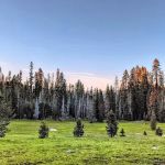 Cold Springs Summit Interpretive Site (minor) (recgovnpsdata)