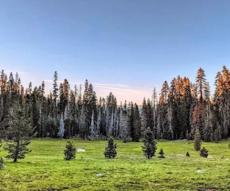 Cold Springs Summit Interpretive Site (minor) (recgovnpsdata)