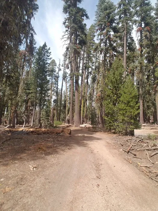 Cold Springs Summit Interpretive Site (minor) (recgovnpsdata) Picture 5