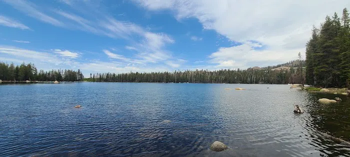 Cold Springs Summit Interpretive Site (minor) (recgovnpsdata) Picture 6