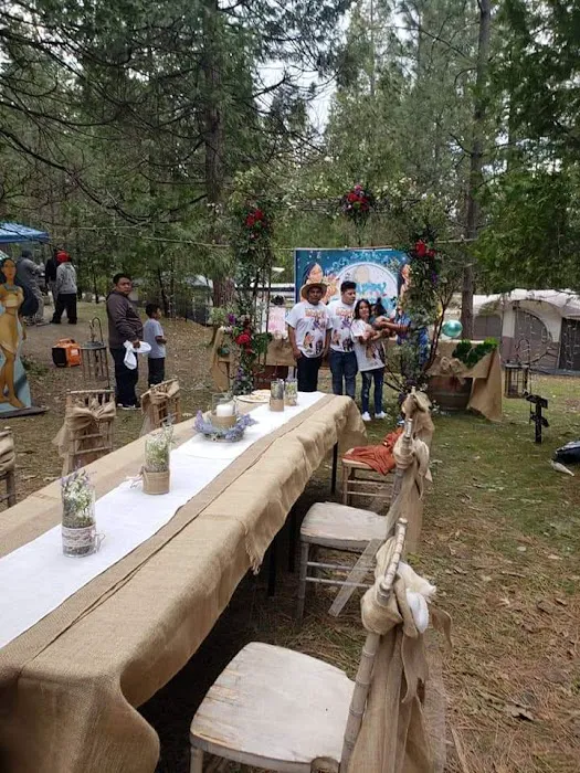 Lupine Spring Cove Picture 3