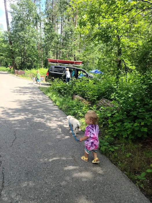 Lupine Spring Cove Picture 8