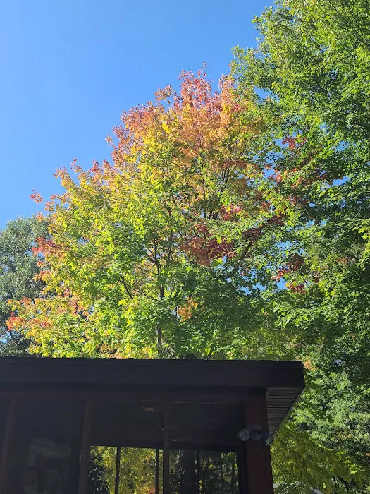 Whitebirch RV & Camping Resort Picture 3