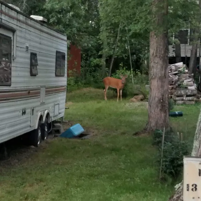 Whitebirch RV & Camping Resort Picture 9
